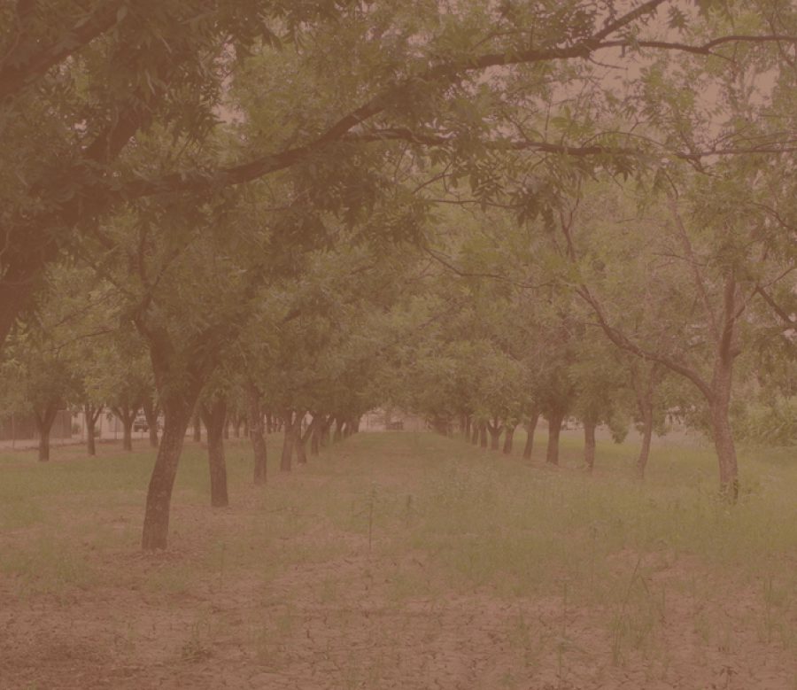 Homepage