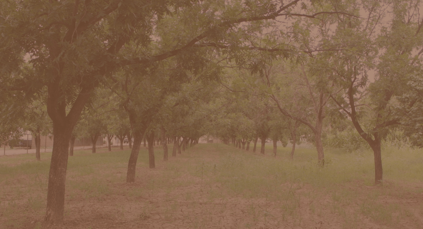 Homepage